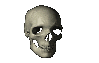 myskull